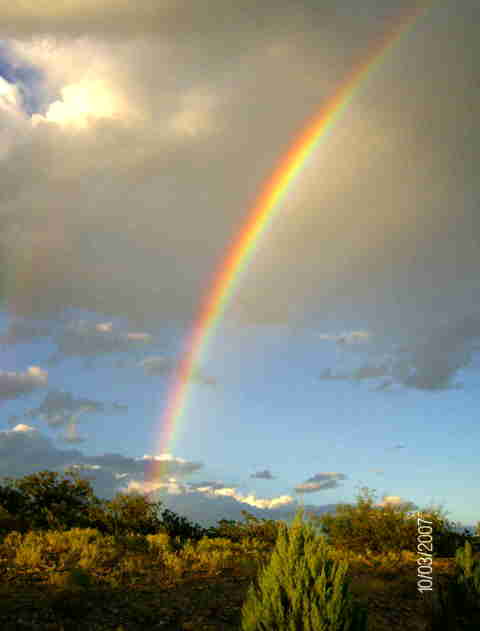 Elephant Butte, NM : Rainbow in Elephant Butte, NM