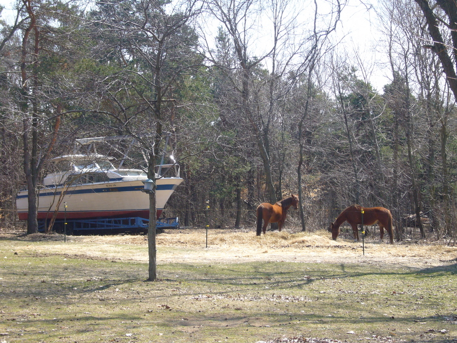 Saugatuck, MI : What you might see if you get lost on a long walk from the beach through the woods.
