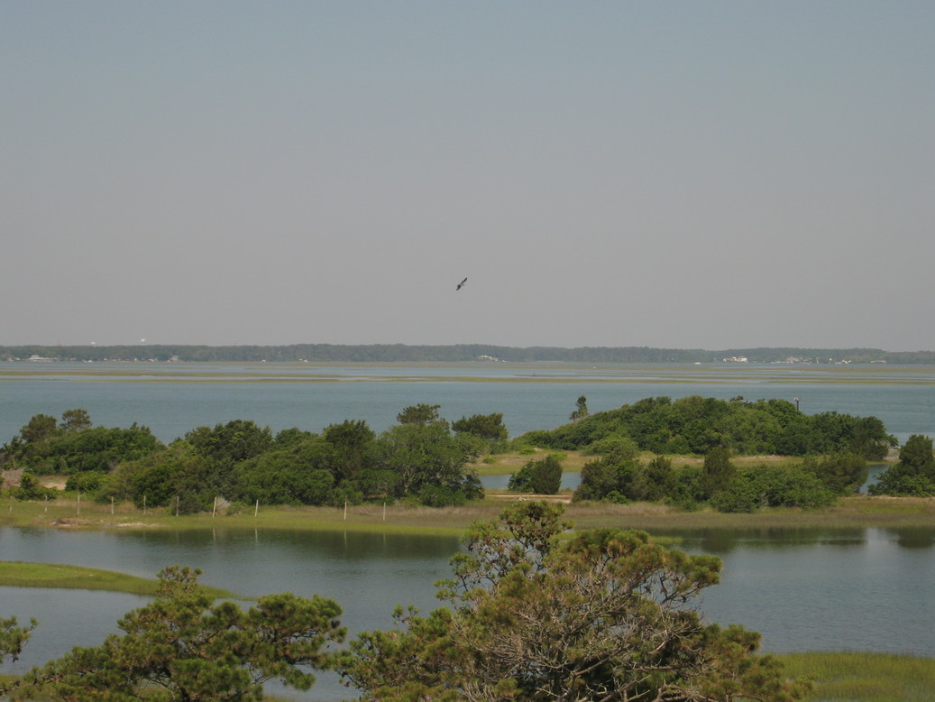 Harkers Island, NC: Harkers Island from my rooftop