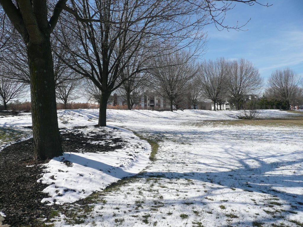 Newark, DE: Snowy landscape