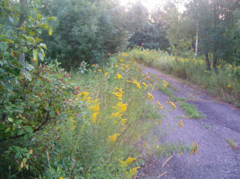 Mason, WI : Driveway in Mason, WI