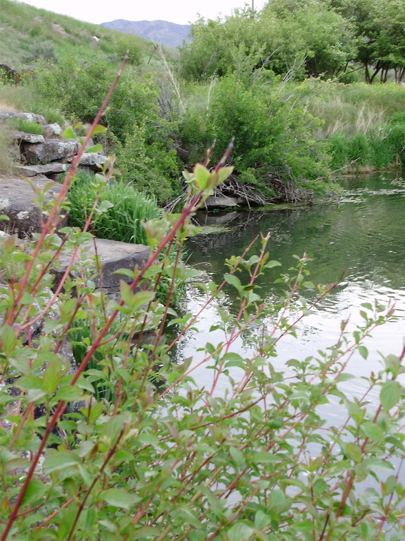 Lava Hot Springs, ID : the river behind the Ranch Inn in Lava Hot Springs