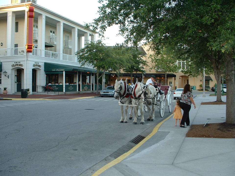 Celebration, FL : Horses and Buggy, Delebration, FL