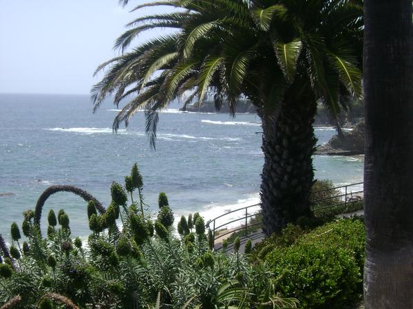 Laguna Beach, CA: Beach