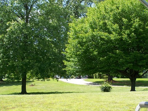 Madison, VA : May 23, 2008 Tanners, VA