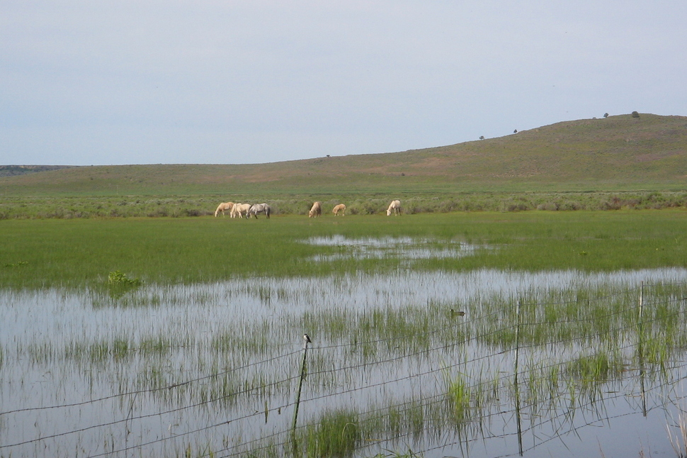 Hines, OR : Hines:  near Hines 2006