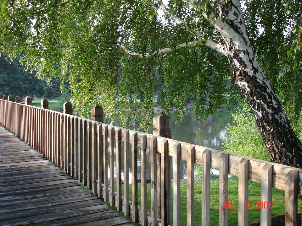 Bend, OR : Drake Park in downtown Bend 7/3/08 7:15 am