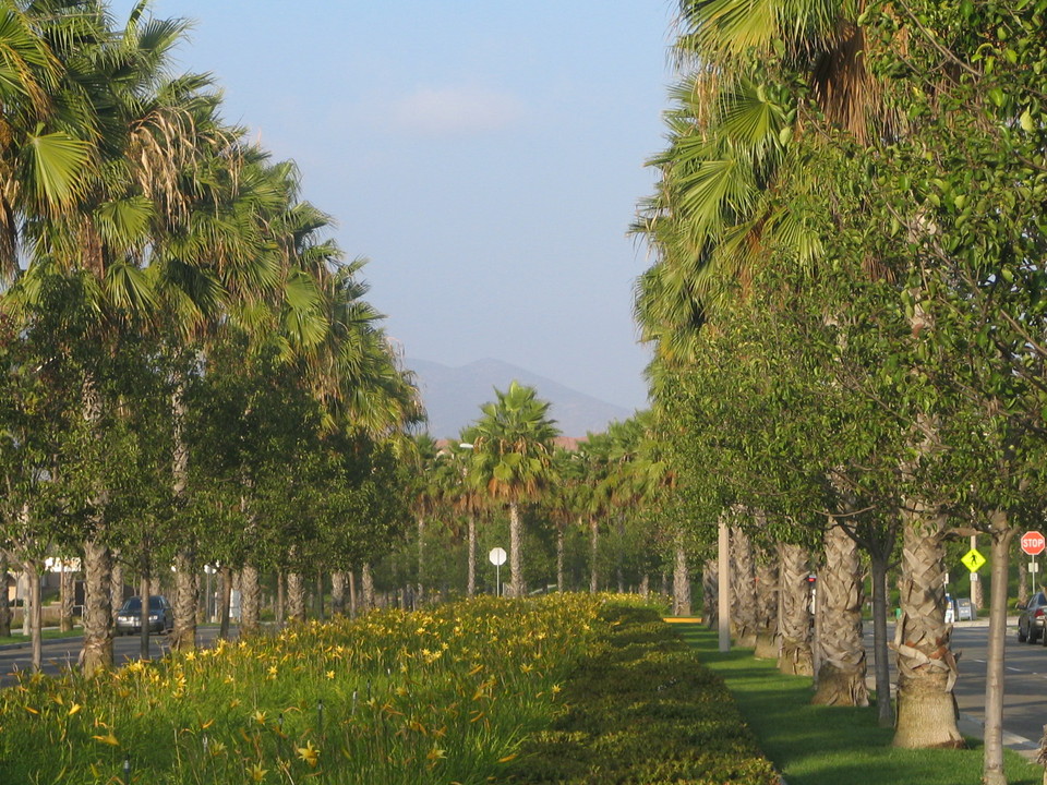 Chula Vista, CA : East Palomar Street looking toward Otay Mountains in the east
