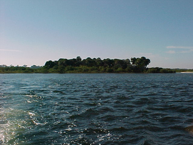 Port Orange, FL : Private Island on the Intra Coastal Waterway Port Orange Florida