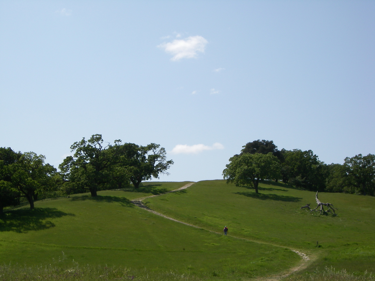 San Ramon, CA : Las Trampas