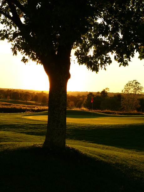 Lee, MO: Setting sun on the Fred Arbanas golf course at Longview Lake