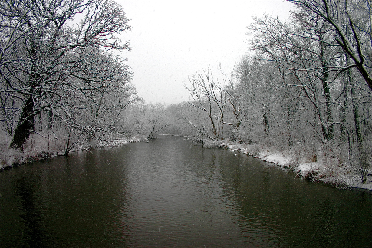 Warrenville, IL: Dupage River at Mack Road Dog Run area. Wintertime