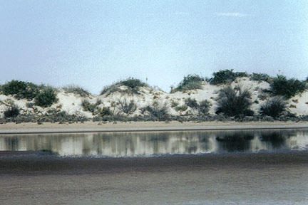 White Sands, NM : Sand dunes at White Sand National Monument