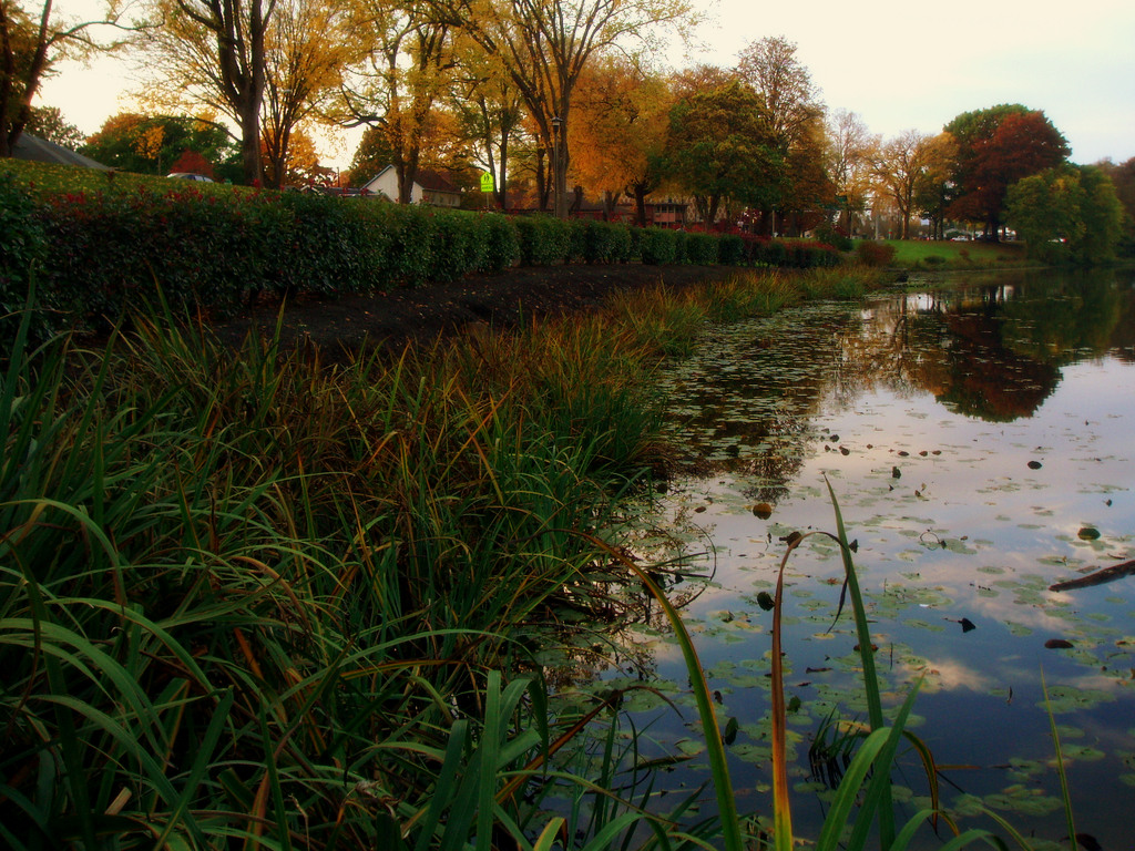 West Longview, WA : Lake Sacagawea - Longview, WA