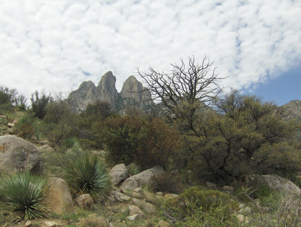 Las Cruces, NM: Aguirre Spring Picnic Area and Campground, east slope of the Organ Mountain range, off Highway 70