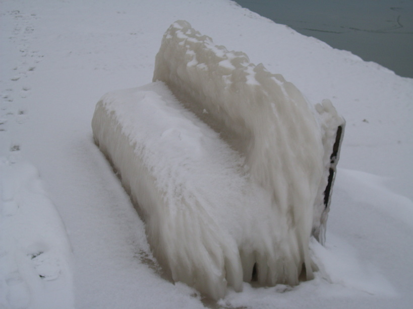 Wilson, NY : Frozen Bench in Wilson