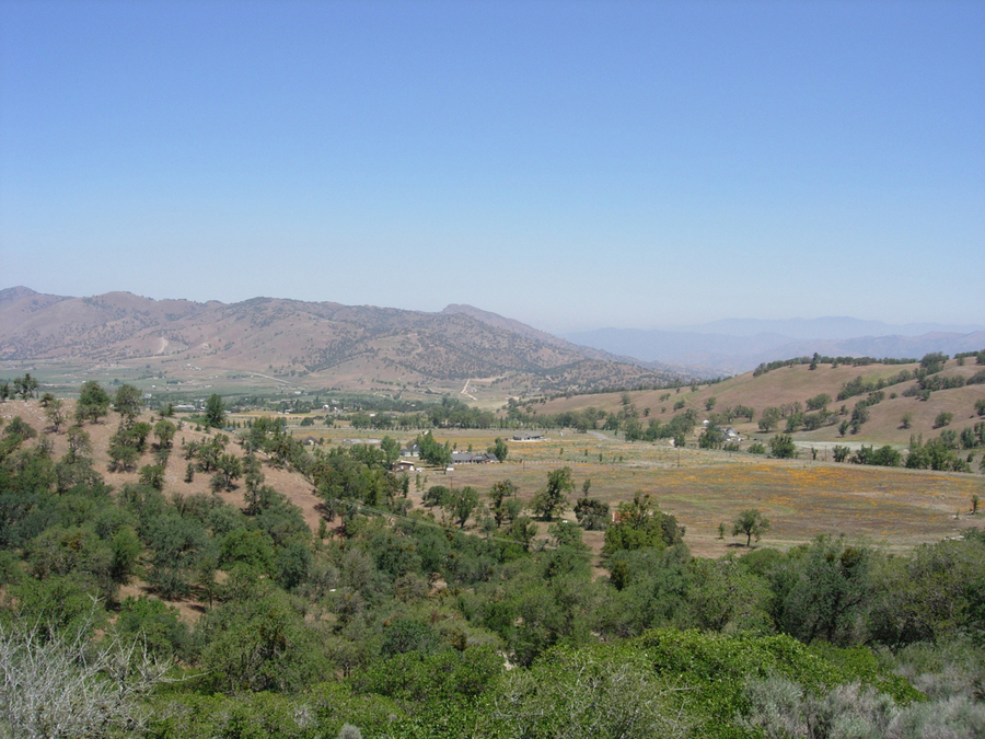 Tehachapi, CA: view from residential lot in alpine forest