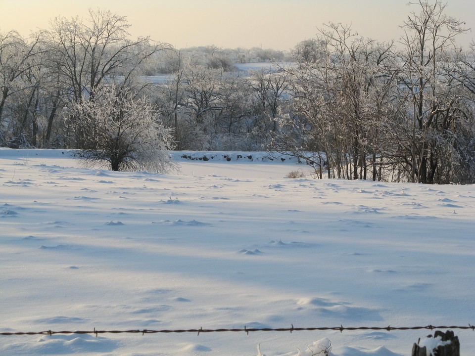 Williamson, IA: Panoramic view of Williamson in the winter
