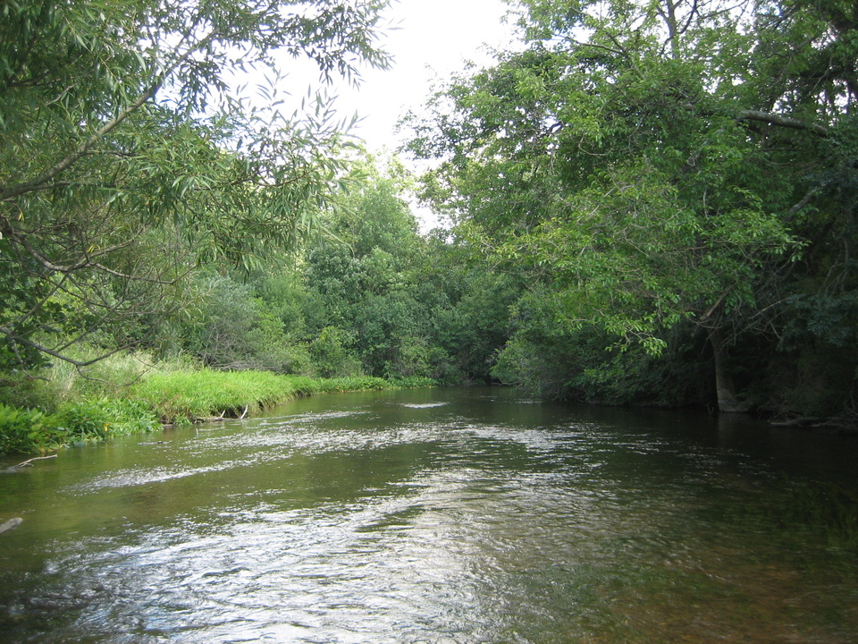 Elkhart, IN: Christiana Creek