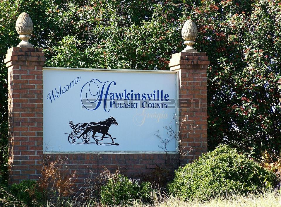 Hawkinsville, GA: Hawkinsville Sign