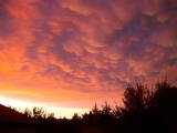 Thedford, NE : Sunset - July 2008