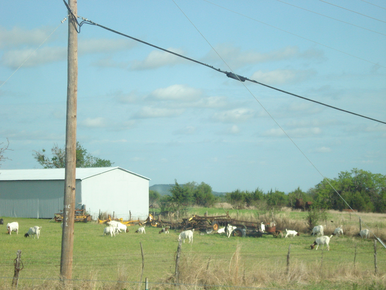 Kempner, TX: Kempner Texas Hwy 190 scenery