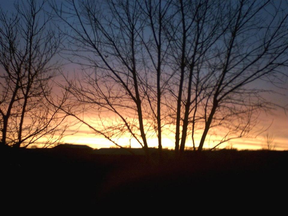 Pueblo West, CO : Sunrise out my front door