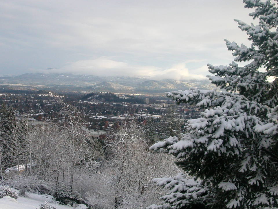 Eugene, OR: Eugene after a snow fall