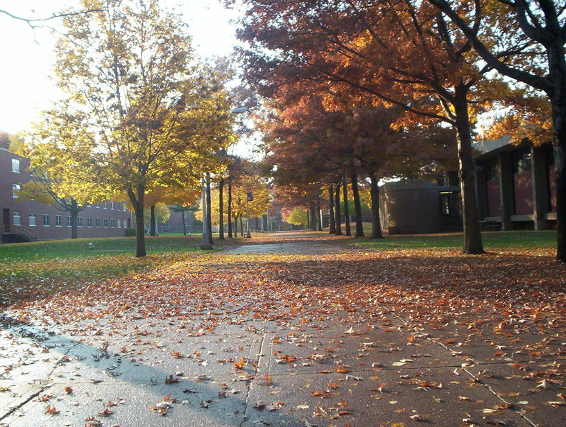Brockport, NY: Brockport Fall :: Trees