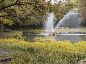 Graham, TX: Fountain in the park at Graham, TX