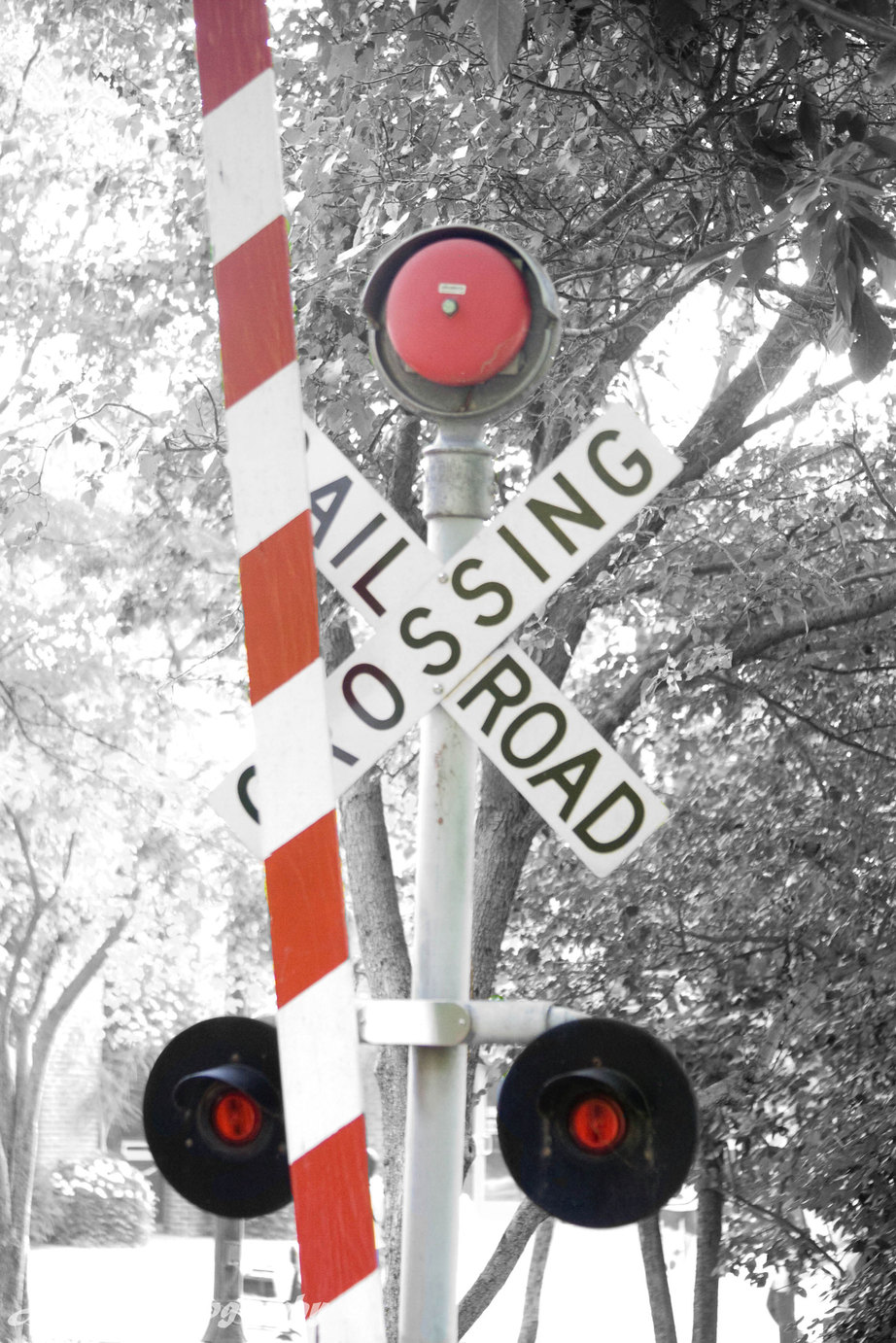 St. Louis, MO : Tram Crossing Sign At The St Louis Zoo photo, picture, image (Missouri) at city ...