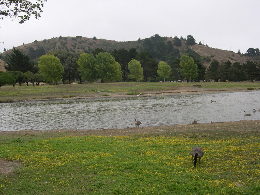 Richmond, CA : Miller/Knox Regional Shoreline