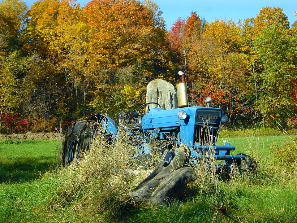 Shelburne, MA : Autumn scene in Shelburne, MA