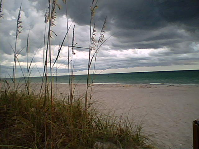Englewood, FL : oatsatenglewood.bmp