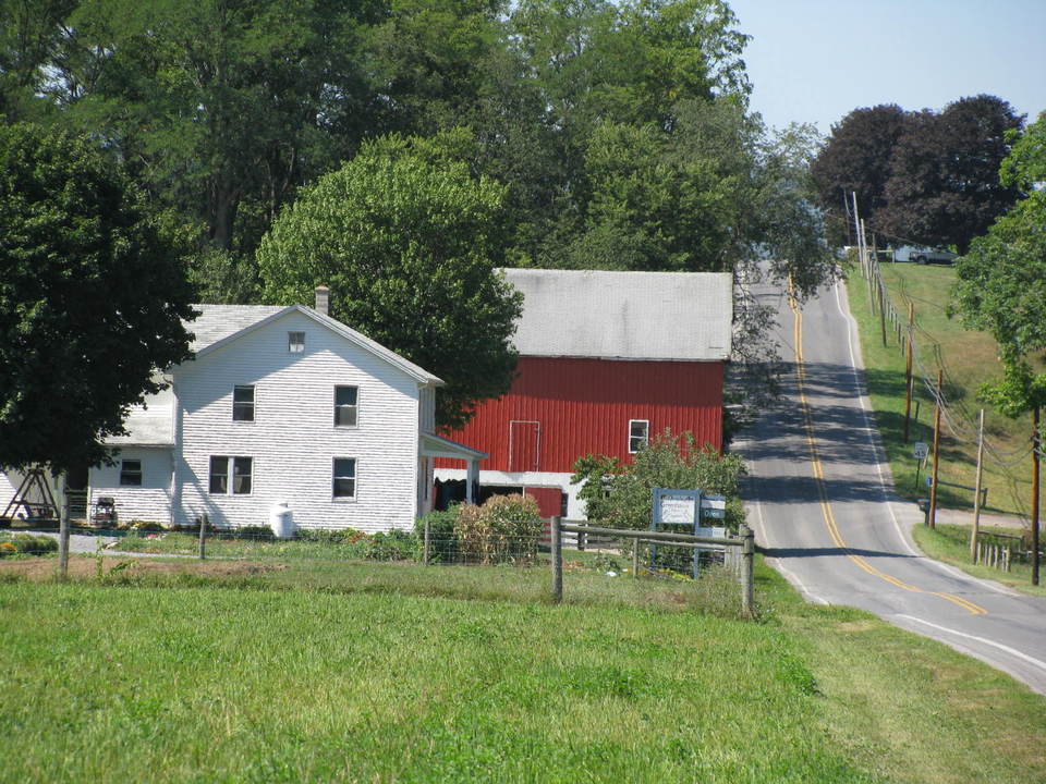 Loganton, PA: Amish and Greenhouse in Loganton