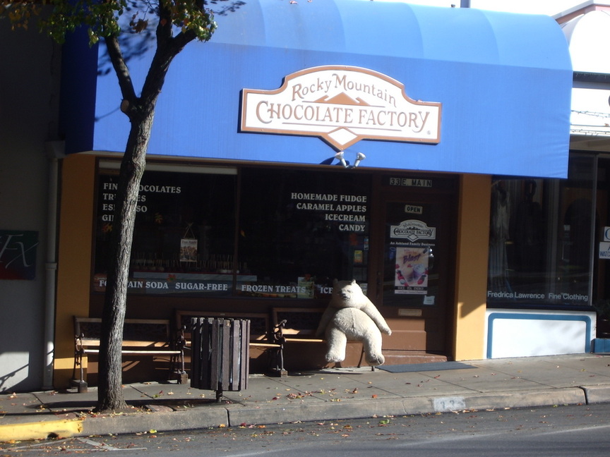 Ashland, OR : Candy Store Bear Downtown Ashland photo, picture, image