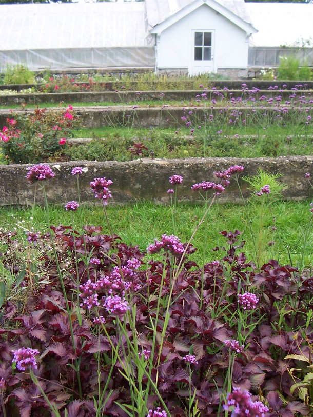 Canandaigua, NY : Greenhouse at Sonnenburg Gardens & Mansion