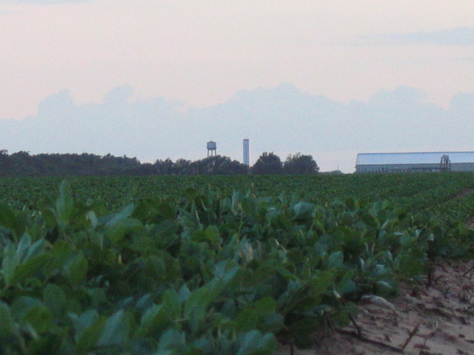 Wellington, TX : wellington in a distance