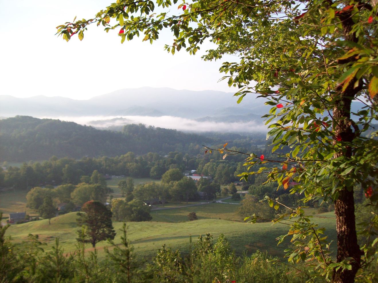 Bryson City, NC: view near deep creek