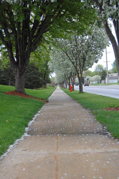 Rochester, MN: Walkway along the street , 41st St NW