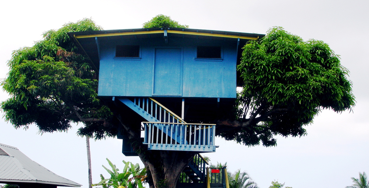 North Kona, HI : House built on a mango tree, picture taken in Kona, HI