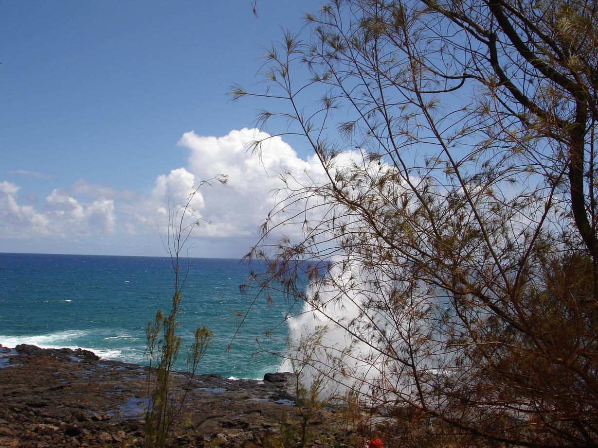 Waimea, HI : Picture taken near the ocean in Waimea, HI