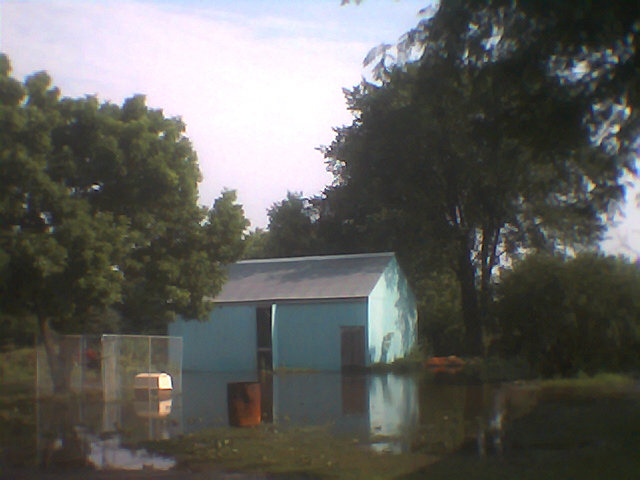 Dumont, IA : Backyard of 12491 Hwy 3, Dumont -- shortly after daybreak, the day of the Great Flood