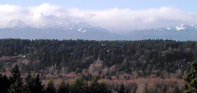 Belfair, WA: View of Olympic mountains from Romance Hill in Belfair