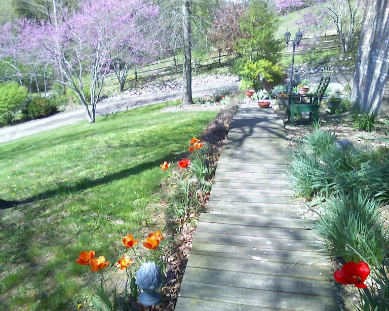 Greeneville, TN : Spring flowers