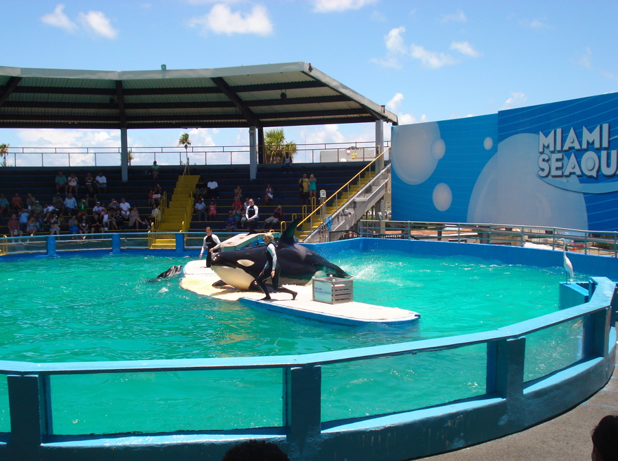 Miami, FL : Miami Sequarium
