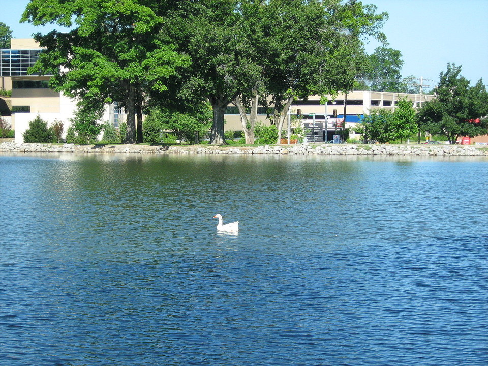 Cape Girardeau, MO: Capaha Park Lagoon