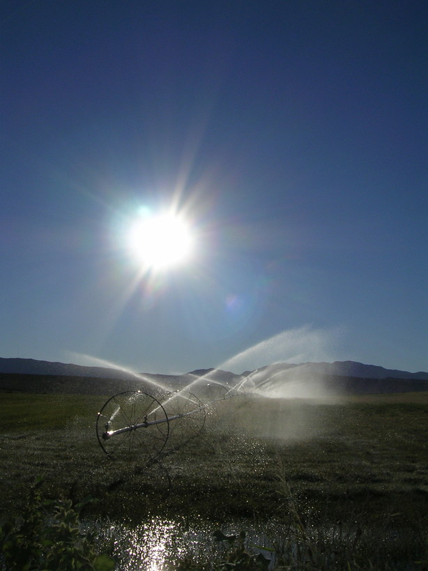 Ivins, UT: Sprinklers in the Desert