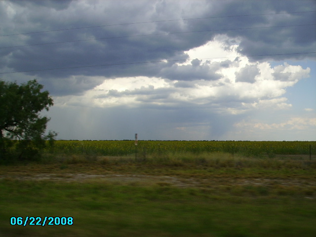 Carrizo Springs, TX : along hwy 83