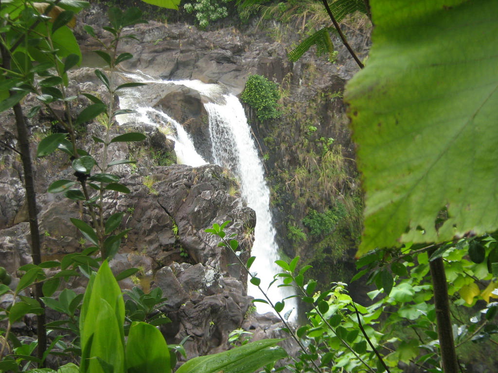Hilo, HI : Rainbow Falls